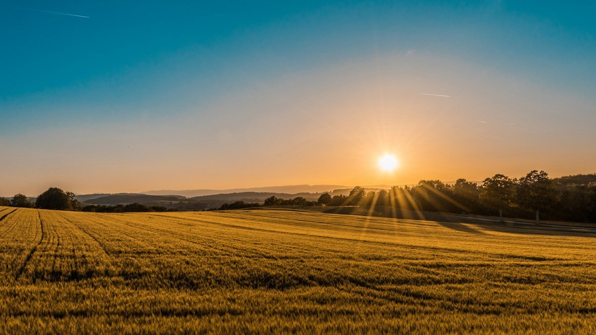 harvester